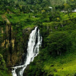nuwaraeliya02